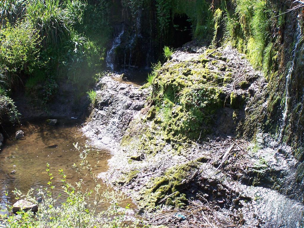 Hostellerie Restaurant Les Gorges De L'Aveyron Bruniquel Екстер'єр фото